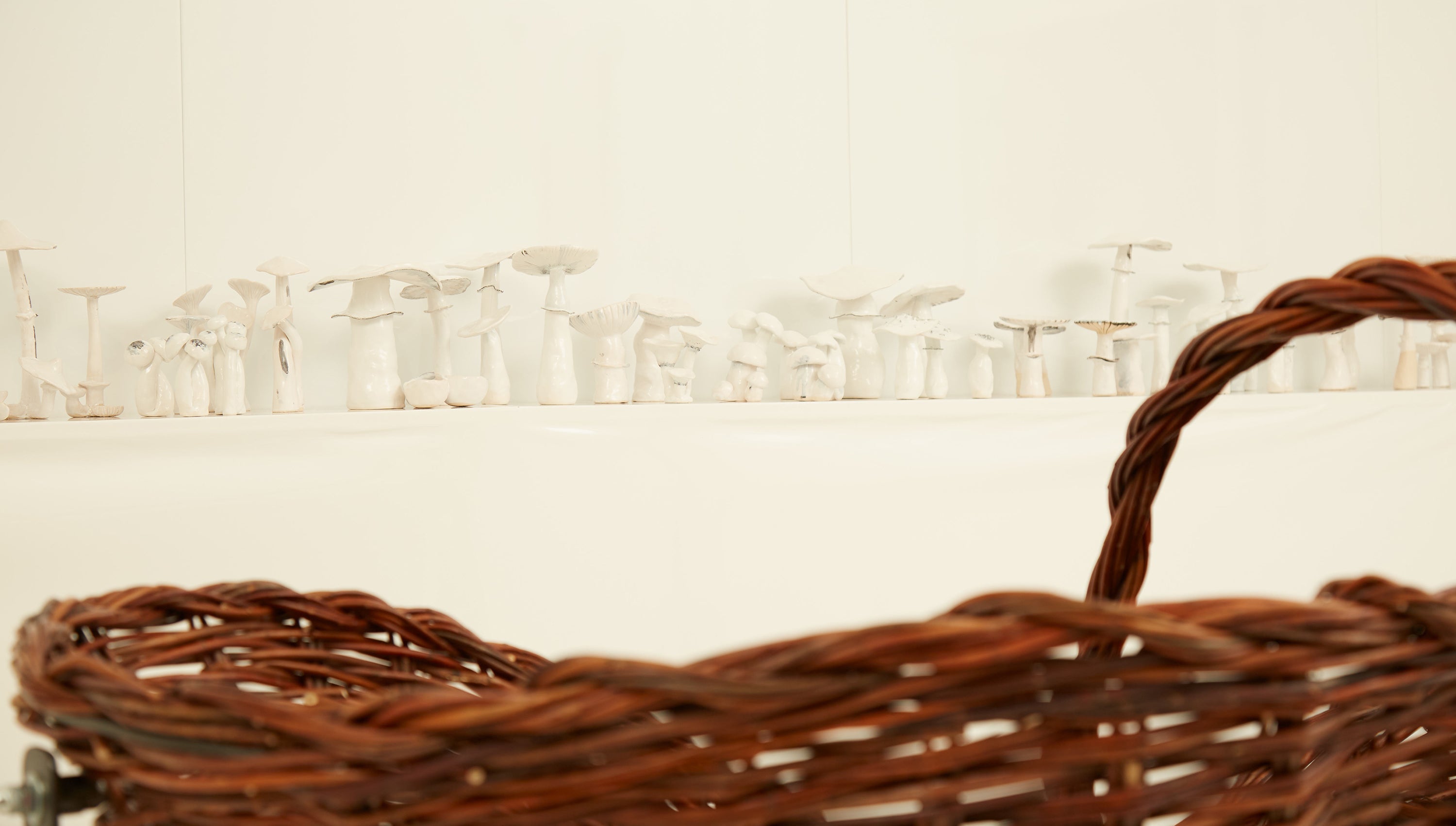 L'AMANITA DI ALIITA MORNING ROOM