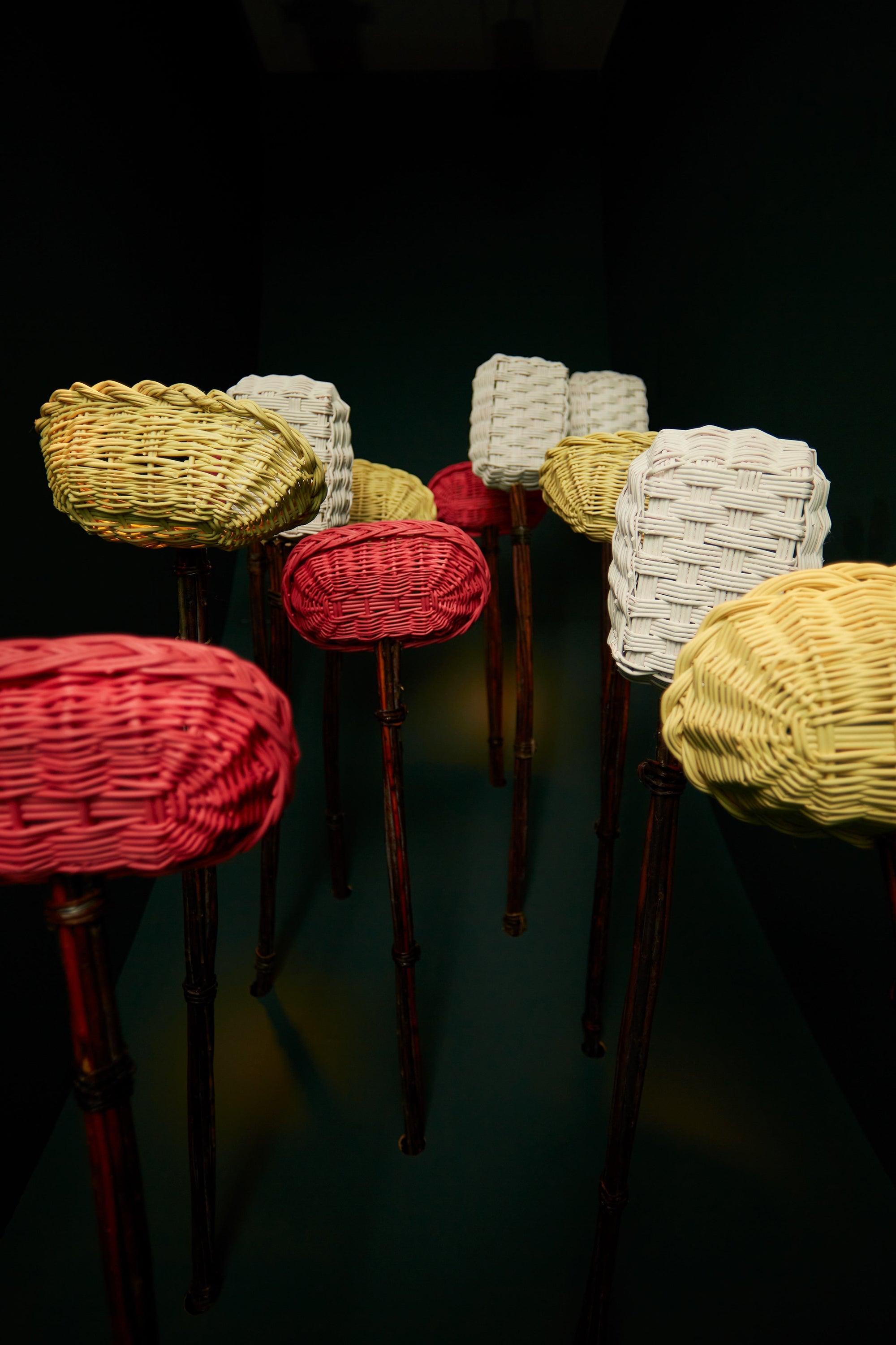 L'AMANITA DI ALIITA MDW 2023