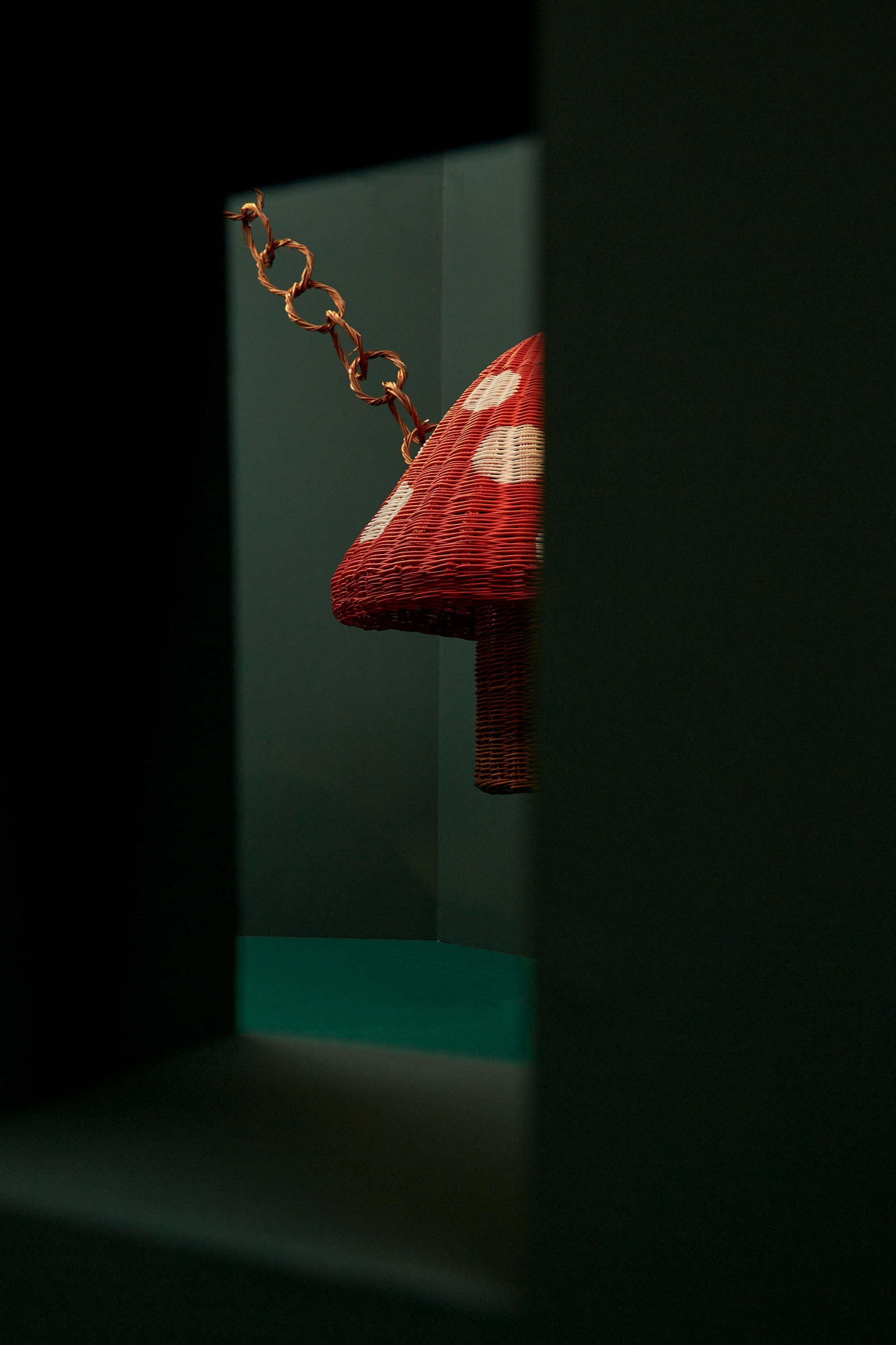 L'AMANITA DI ALIITA MDW 2023